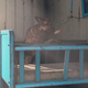 Illustration for article titled Fans Have Already Come Up With Wild Theories About Fallout 4
